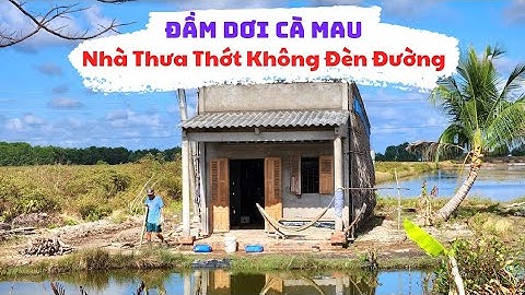 Quá Bất Ngờ Vùng Quê Đầm Dơi Cà Mau, Nhà Dân Thưa Thớt Không Đèn Đường, Mộc Mạc Yên Bình 2025