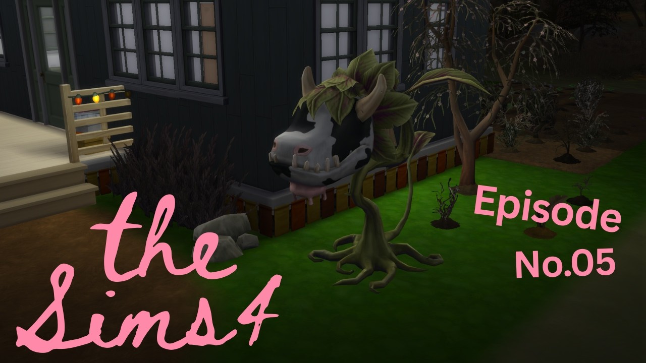 THE SIMS 4 GAME PLAY-SCHMIDT CSALÁD |HELYRE ÁLLT A REND..SZUPER SIMEK LESZÜNK (A 5.RÉSZ) |MAGYAR