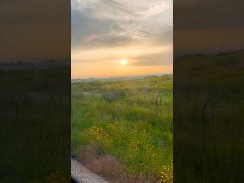 Что то из воспоминаний #imaginedragons #music #travel #lifestyle #israel #церковь #nazareth