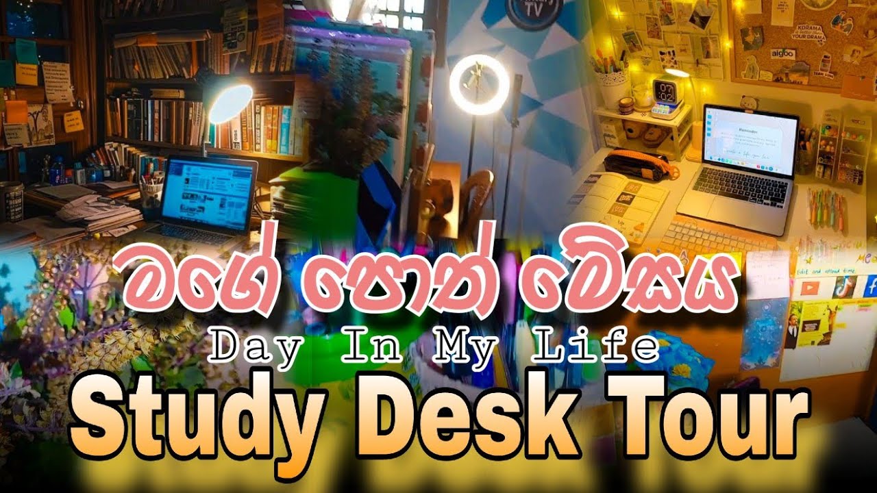 මගේ පොත් මේසය තියෙන විදිහ 📚 එන්නකෝ පොත් මේසේ රවුමක් 🧿#study #studydesk #studytips #dayinmylife #vlog