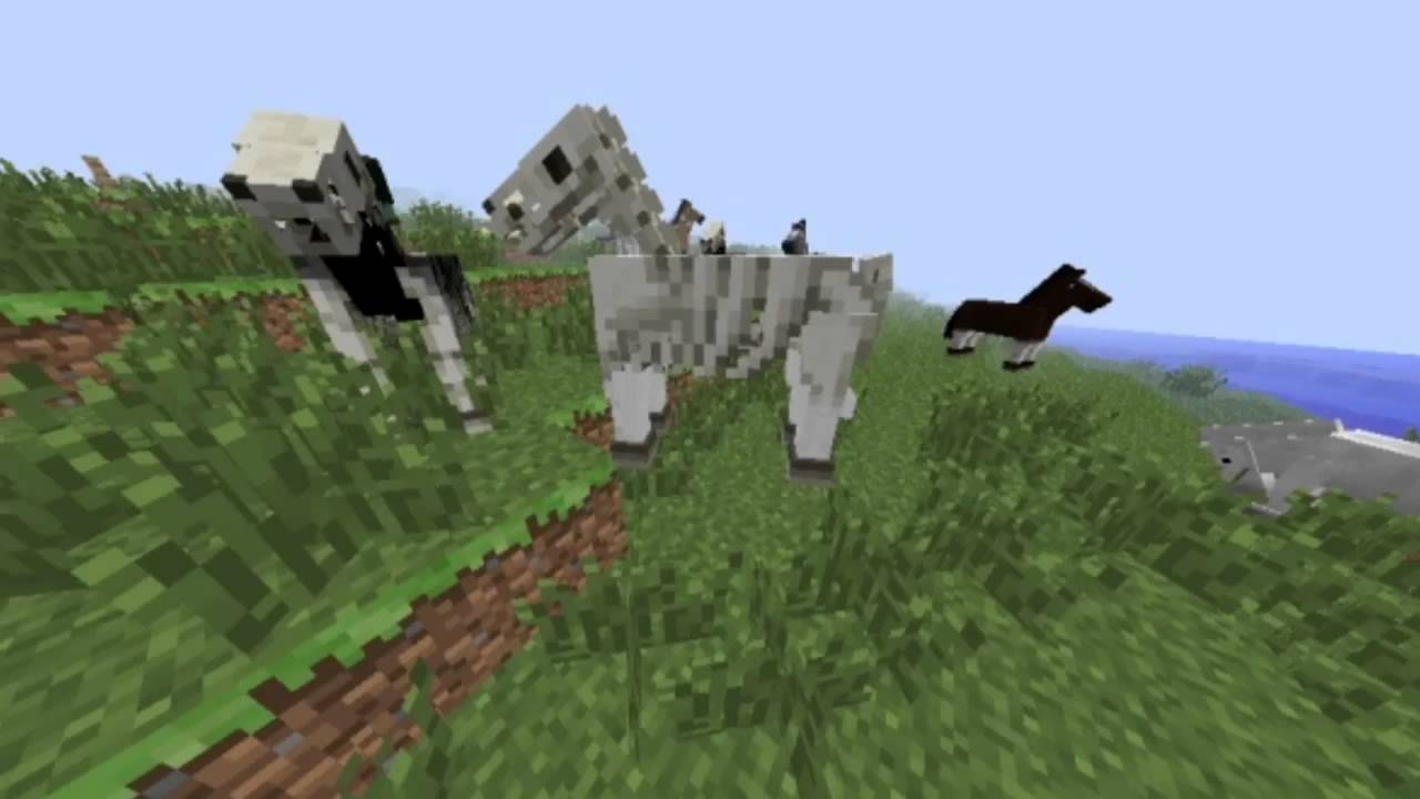 Minecraft snapshot 13w16 and 13w17