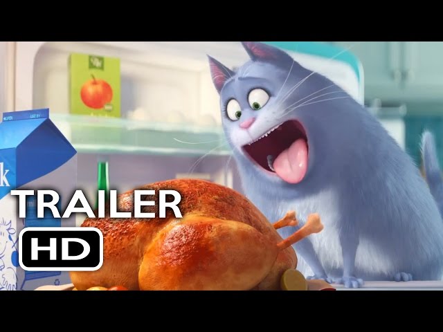 The Secret Life of Pets - Question Formation