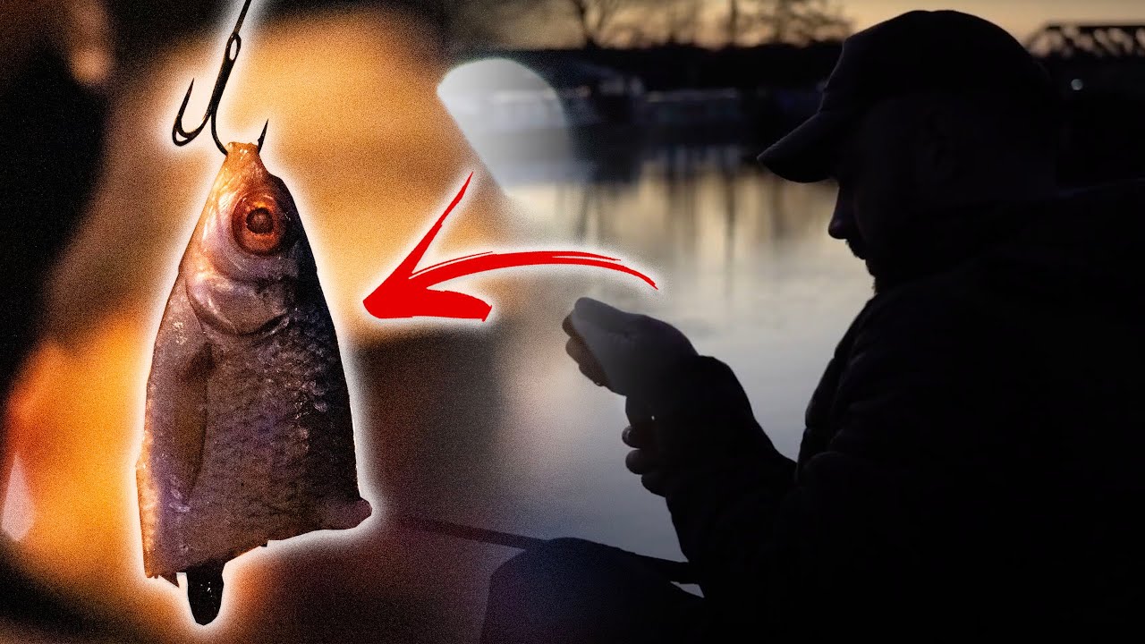 FISHING Under The Cover Of DARKNESS - Urban Fishing! 