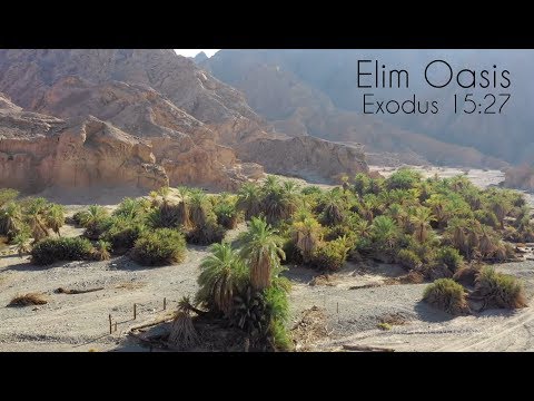 Elim Oasis In