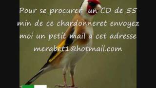 CD Chant chardonneret d ALGERIE TOP screenshot 1
