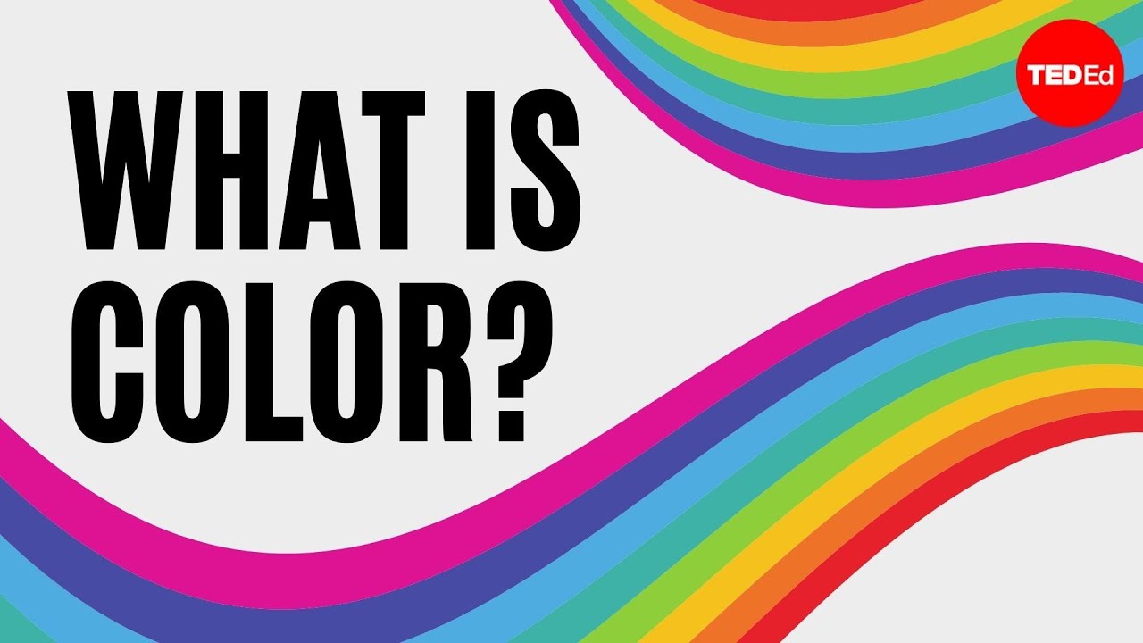 ⁣What is color? - Colm Kelleher