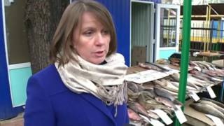 Дни уличной торговли в Ярославле сочтены Дни уличной торговли в Ярославле сочтены