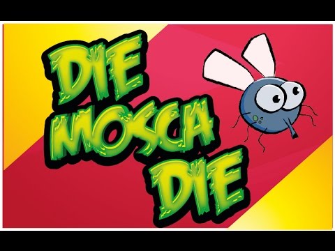 Como Matar Una Mosca (Tutorial)  | Her Manos