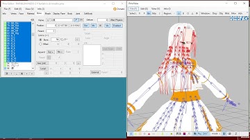 Arreglar problema de huesos (nombre en rojo)