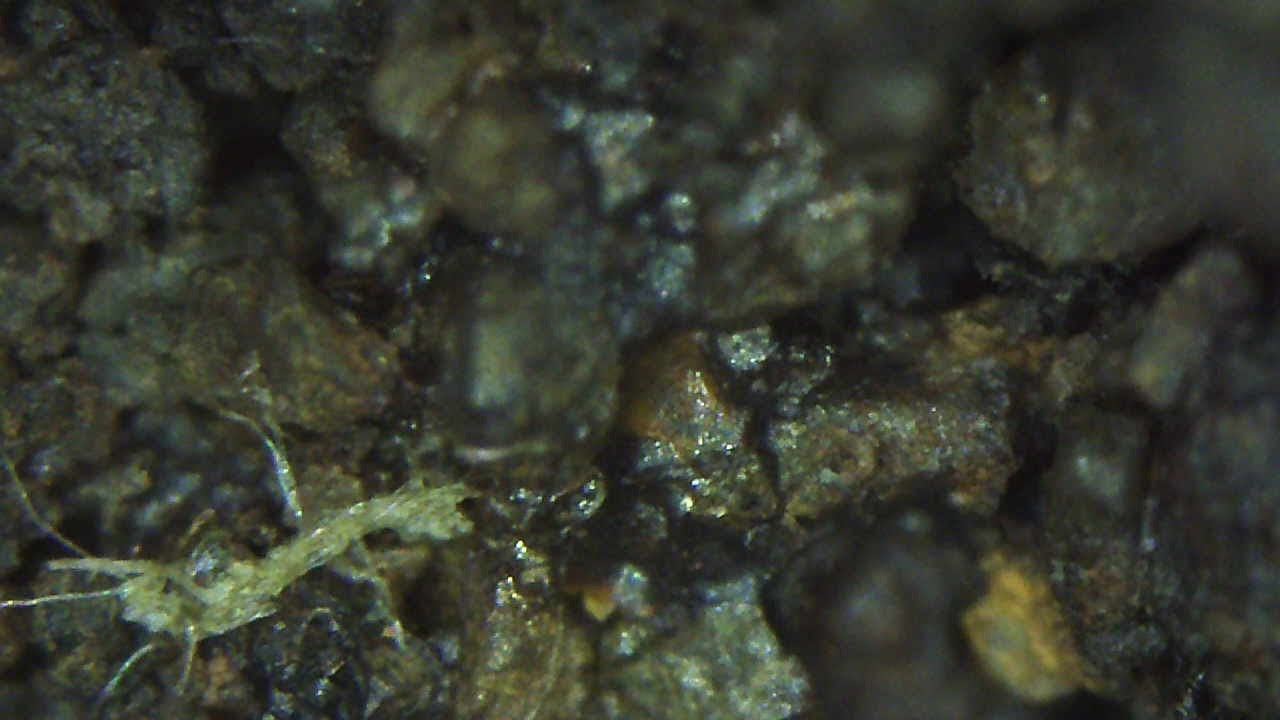 Dogs meteorite collection 93 gram