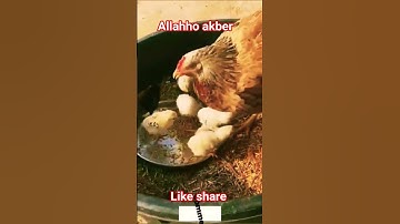 #القران_الكريم #تلاوه_خاشعه #قال رب انیی ظلمت نفسی #المصحف #الشيخ محمود الشحات #foryou