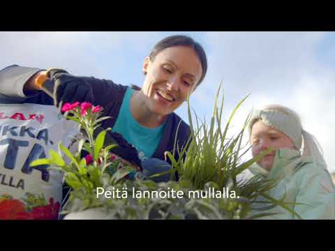 Video: Huonekasvien ripsien tappaminen: Kuinka hallita ripsiä sisäkasveilla