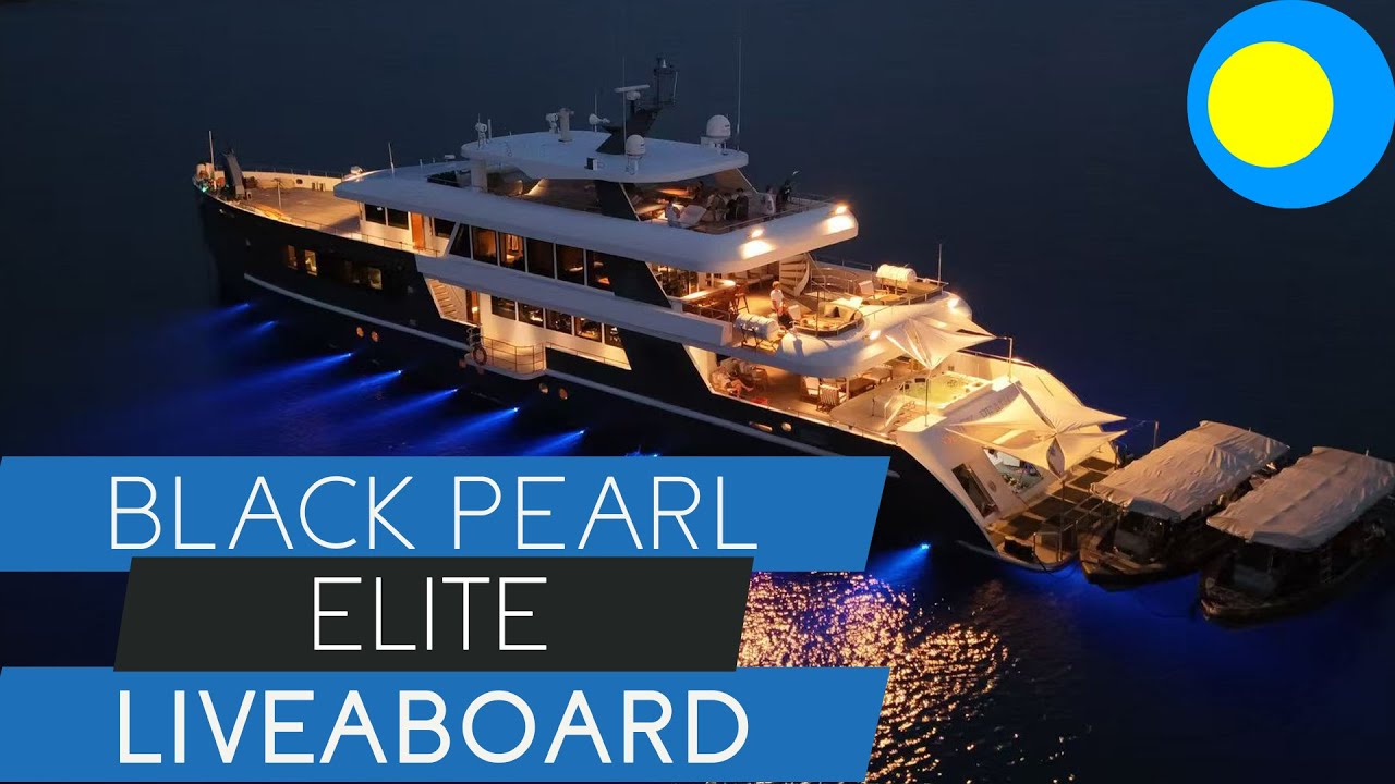 Black Pearl Palau: Ultimate Luxury Dive Trip—What to Know w/ @Pearl Fleet Liveaboards