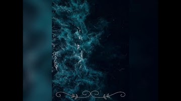 تلاوة خاشعة من صلاة الفجر للشيخ / خالد الخير