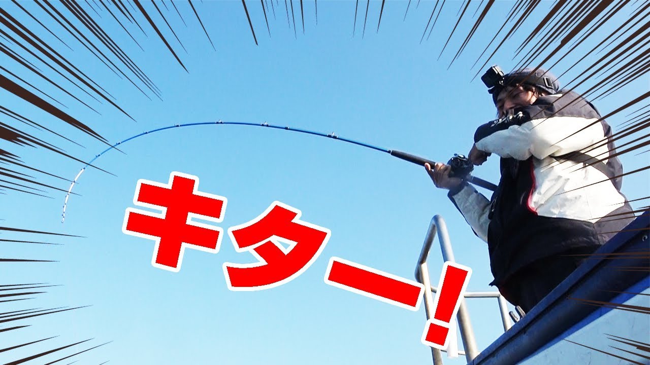 大阪湾で「うろこが無いピカピカ魚」が釣れた‼