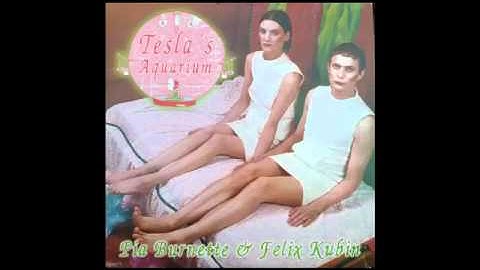 Felix Kubin & Pia Burnette - Enemy