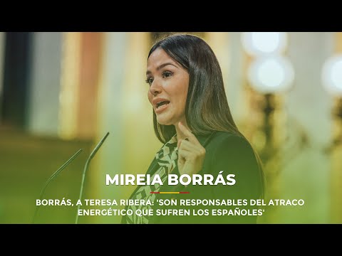 Borrás, a Teresa Ribera: 'Son responsables del atraco energético que sufren los españoles'