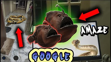How to set 3D google animals!, Handson with all Google 3D Animals, augmentedreality, google feature!