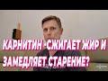 Карнитин- сжигает жир и замедляет старение?