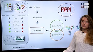 Characterization Of Solution Structure Of Multi-Domain Protein And Protein Structures