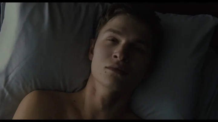 The Goldfinch - In Cinemas Now