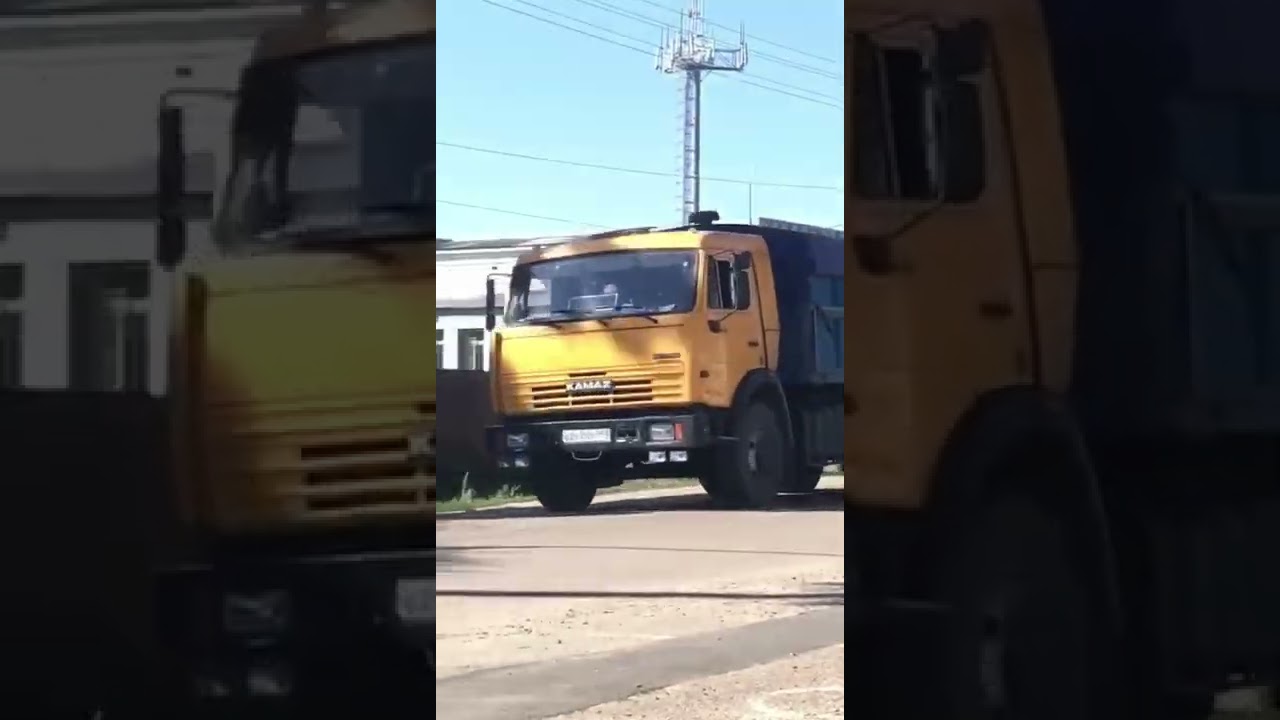 Желтый георгин камаз