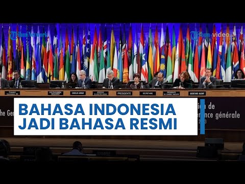 Video: Bahasa resmi PBB. Bahasa apa yang resmi di PBB?