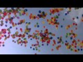 Воздушные шары в небе - Футажи для видеомонтажа бесплатно в Full HD(1080p) качестве