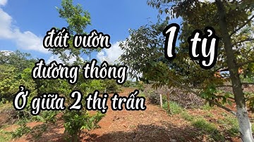 Kẹt tiền Anh Hải bán đất vườn màu mở không khí trong lành gần hai thị trấn ở huyện châu đức BRVT