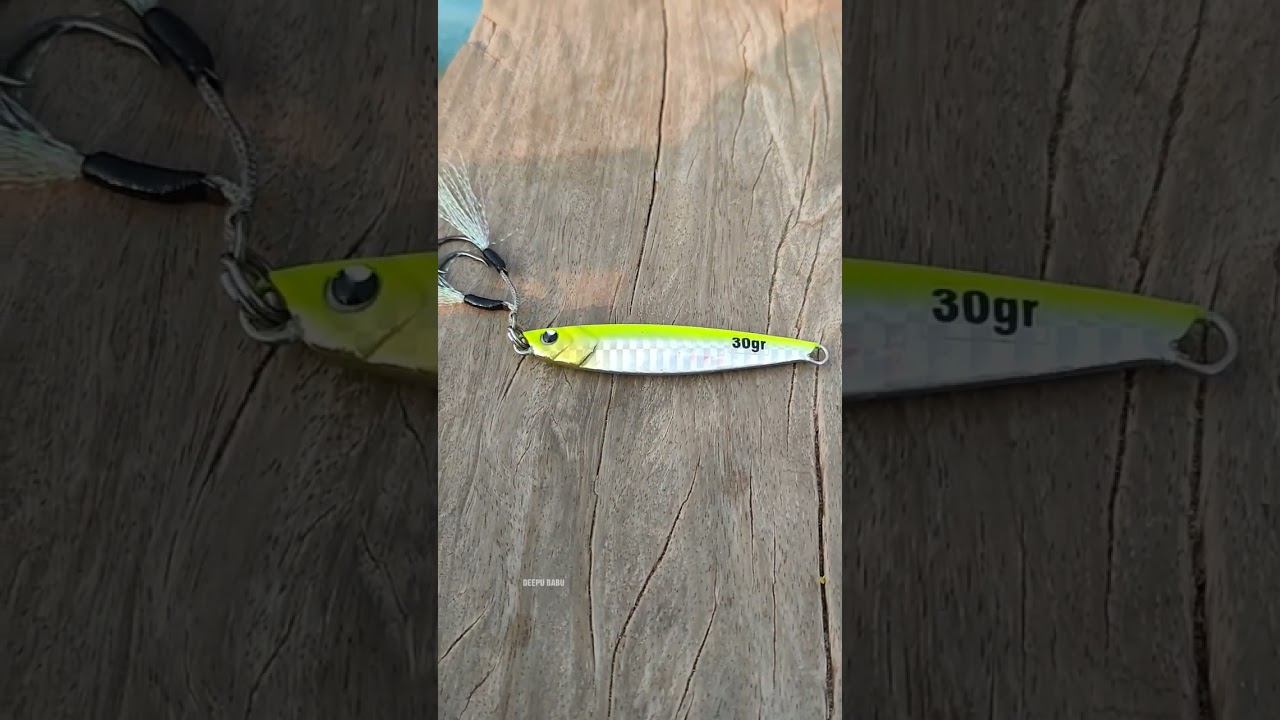 Malvan fishing day 11