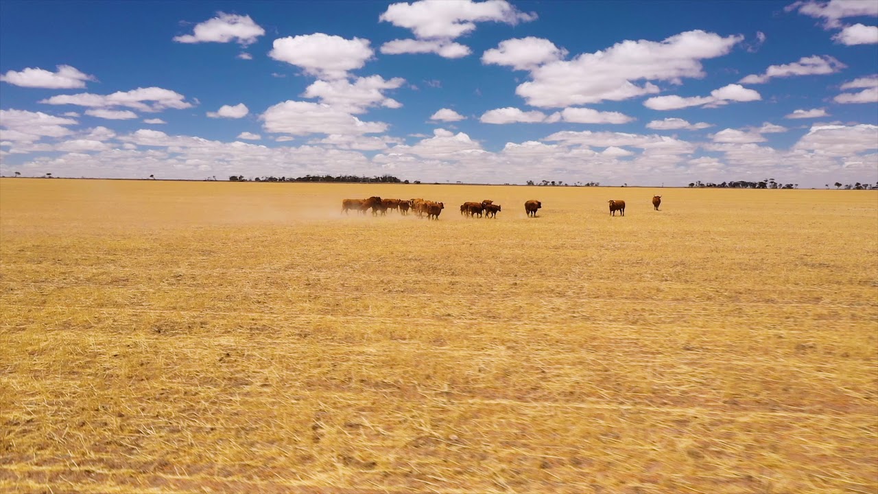 Website Banner 4K - YouTube