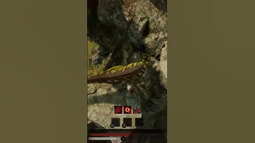 Solo Allo v Conca Pack #pathoftitans #allo #allosaurus #concavenator #dinosaur