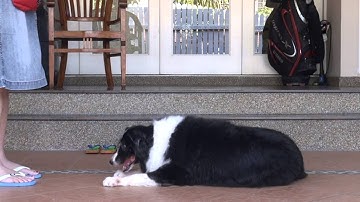 Unit 1 / Web Lesson 4 / Exercise Packet A / Exercise 4.1 - Shaping a Head Dip #3