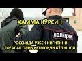 РОССИЯДА ЎЗБЕК ЙИГИТИНИ ТОҒАЛАР ОЛИБ КЕТМОҚЧИ БЎЛИШДИ.