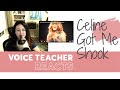 Voice Teacher Reacts | 10 Times Celine Dions Vocal Had Me Shook!