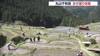 田植えに備え「丸山千枚田」で“あぜ塗り”作業　県外からの参加者が体験　三重・熊野市 (22/04/09 12:07)