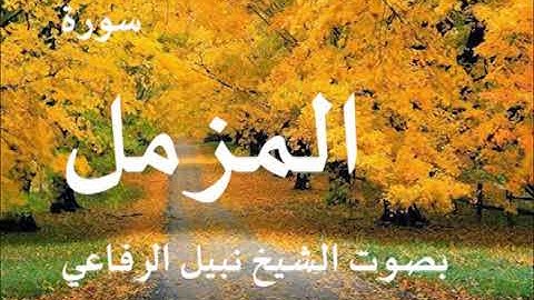 073  سورة المزمل الشيخ نبيل الرفاعي