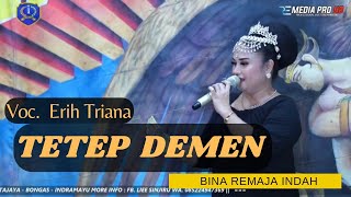 Lagu Wajib Sandiwara BRI!!!!!! || Tetep Demen || Voc. Erih Triana