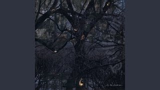 By the Shadows
