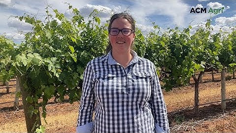 Future-proofing the farm: five operations on how and why they diversified