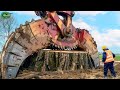 Extreme Dangerous Fastest Big Chainsaw Cutting Tree Machines | Monster Stump Removal Excavator #26