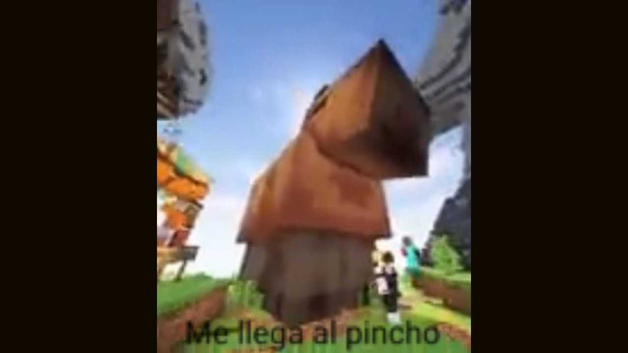 WHEN TE LLEGA AL PINCH0 - YouTube