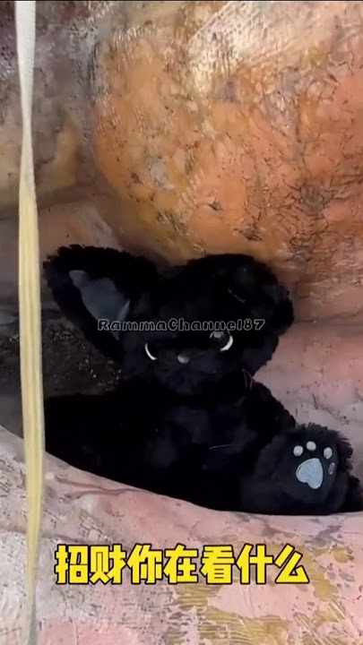 “Matanya Nyala Sendiri… Boneka yang Ditemukan Chiko 😱💎”#shorts