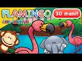 Lagu Anak | Flamingo dan Lainnya | 30 Menit