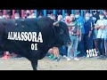 🟢2021 ALMASSORA 01 ◾ INTEGRO 2 Toros Cerriles en Calle
