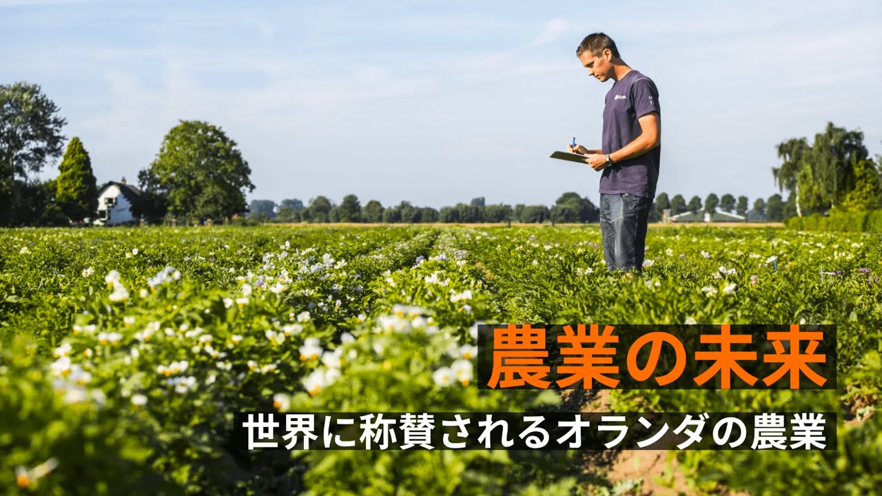農業の未来 世界に称賛されるオランダの農業 Youtube