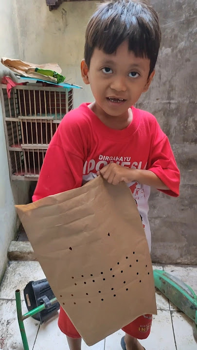 Al unboxing burung merpati #merpatiku #burungdara #burungmerpati #alfattahchannel