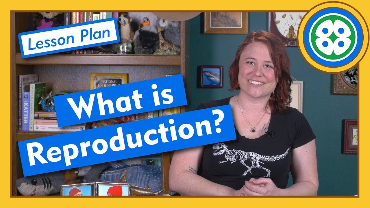 ⁣What is Reproduction? - Lesson Plan