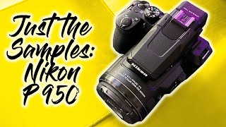 Just The Samples - Nikon P950