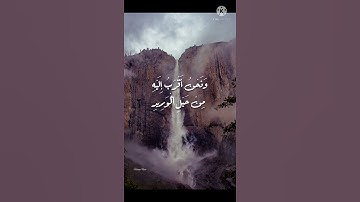 راحه نفسيه🍁🧡حالات واتس اب قرآن كريم بصوت الشيخ فارس عباد{ونحن أقرب إليه من حبل الوريد....}